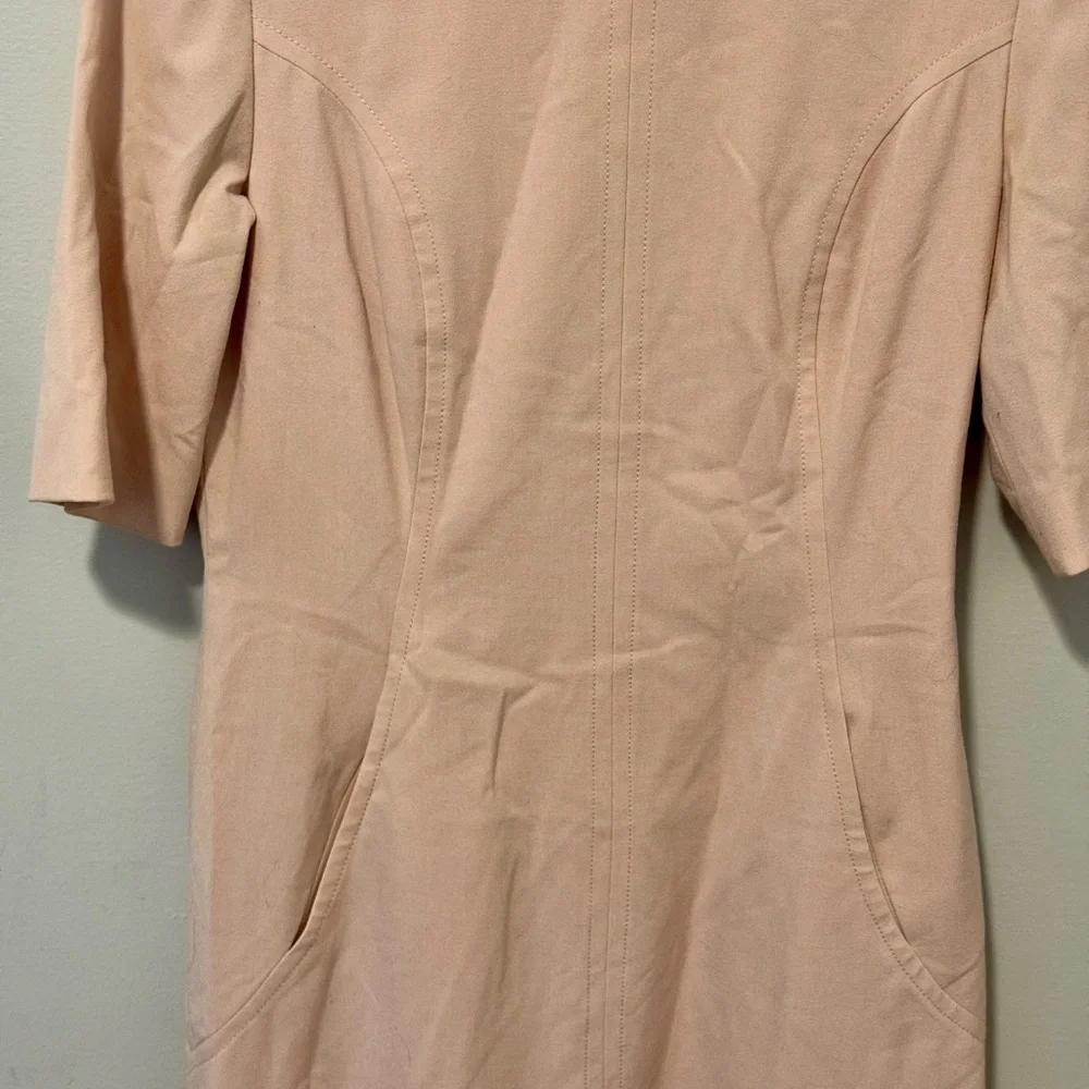 Tahari by ASL Blush Pink Sheath Dress w/Pocket, Size 6 Petite - Picture 4 of 13
